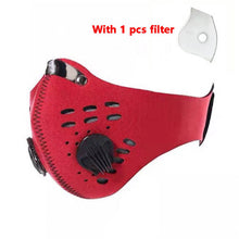 Load image into Gallery viewer, PM 2.5 Masks For Sale
