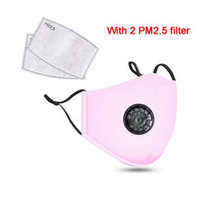 Load image into Gallery viewer, PM 2.5 Masks For Sale
