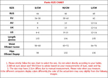 Load image into Gallery viewer, Two Piece Long Sleeve Top and Office Pants