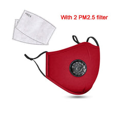 Load image into Gallery viewer, PM 2.5 Masks For Sale
